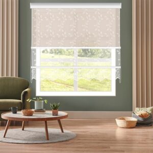 شیدرول دومکانیزم