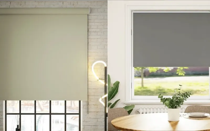 شید رومن و چاپی